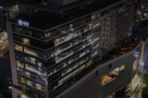 FGI/FGD �����ϱ�