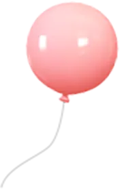 ������Ʈ